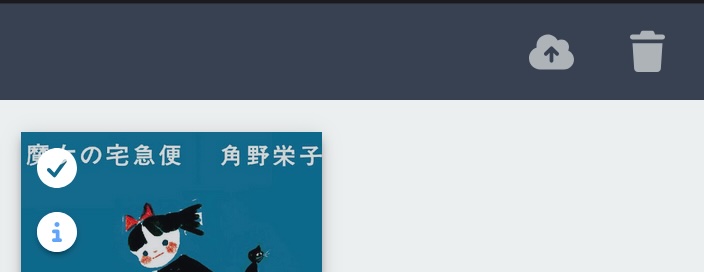A selected book in ttsu with the export button in the library header.